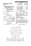 Description of Carbonell's Patent #5,494,803 entitled, "Immunodiagnostic Assay Using Liposomes Carrying Labels Thereof On Outer Liposome Surface."