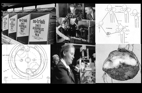 Collage of Photos includes:  Photo of Nu-trish Sweet Acidophylus Lowfat Milk, Photograph of Willard Bennett and colleagues working on Bennett's experimental tube called the Störmertron, Sketch of Lemna gibba, Dr. Paulson's sketch of centrifugal sweeper, Photo of Nina Strömgren Allen in laboratory at Dartmouth College, and a late-blight infected potato tuber.