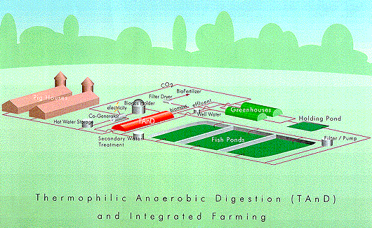 Picture of "Thermophilic Anaerobic Digestion and Integrated Farming."
