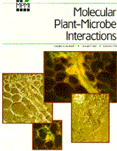 Journal cover of "Molecular Plant-Microbe Interactions."