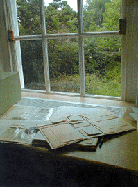 Picture of window.