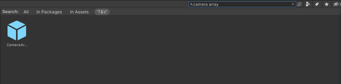 Find Camera Array in Project