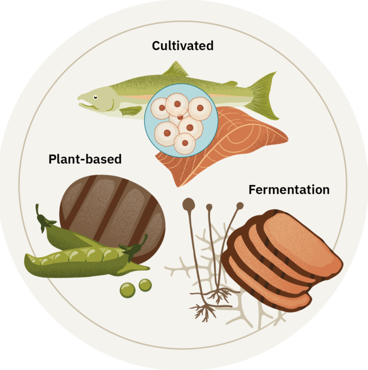 graphic containing icons representing cultivated, fermented, and plant-based alternative protein sources