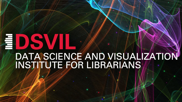 DSVIL logo.