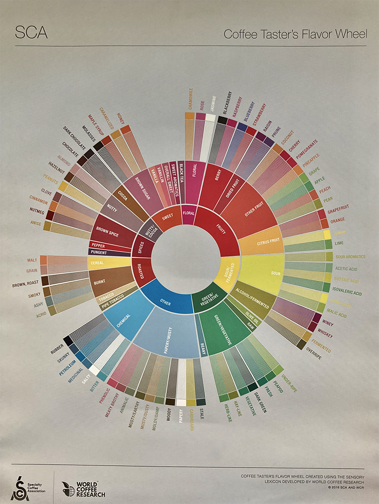 Image of "Coffee Tester's Flavor Wheel".