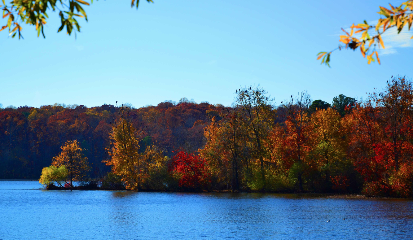 Blue water of Lake Raleigh under the blue sky and fall foliage