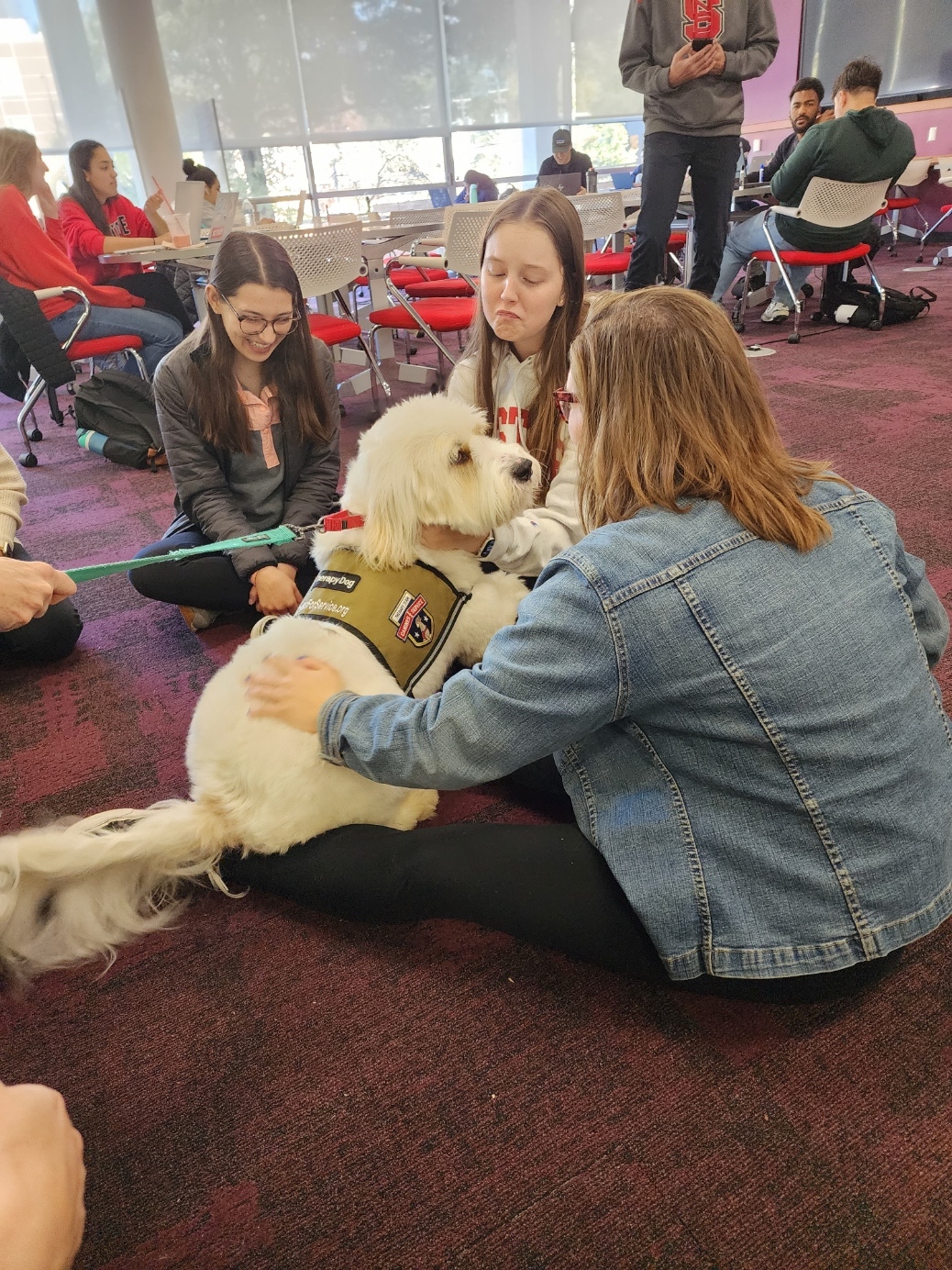 A photo of a dog with students.