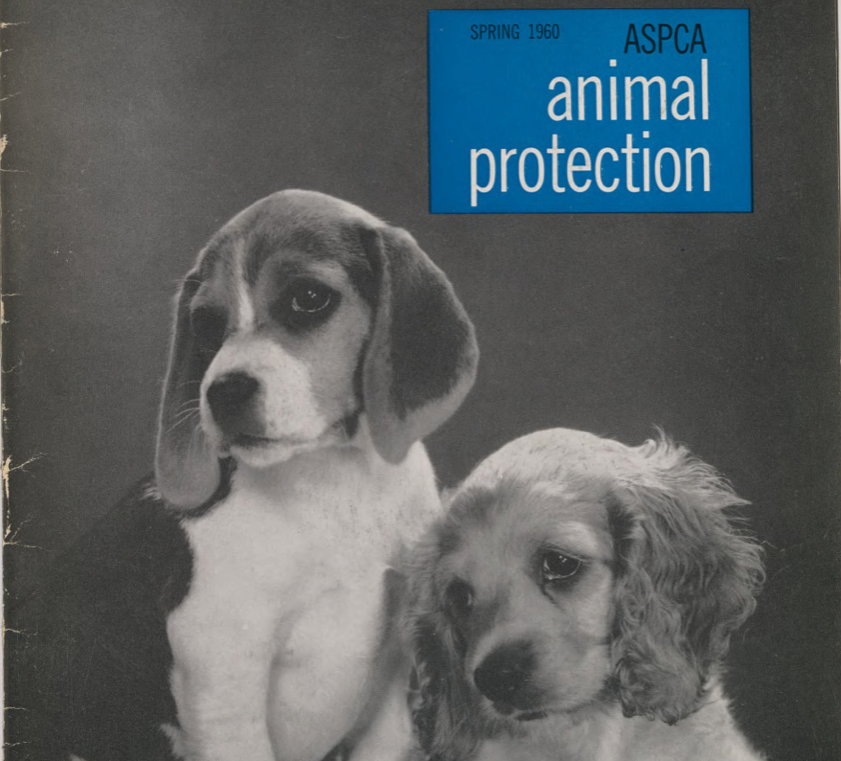 ASPCA Animal Protection, Spring 1960