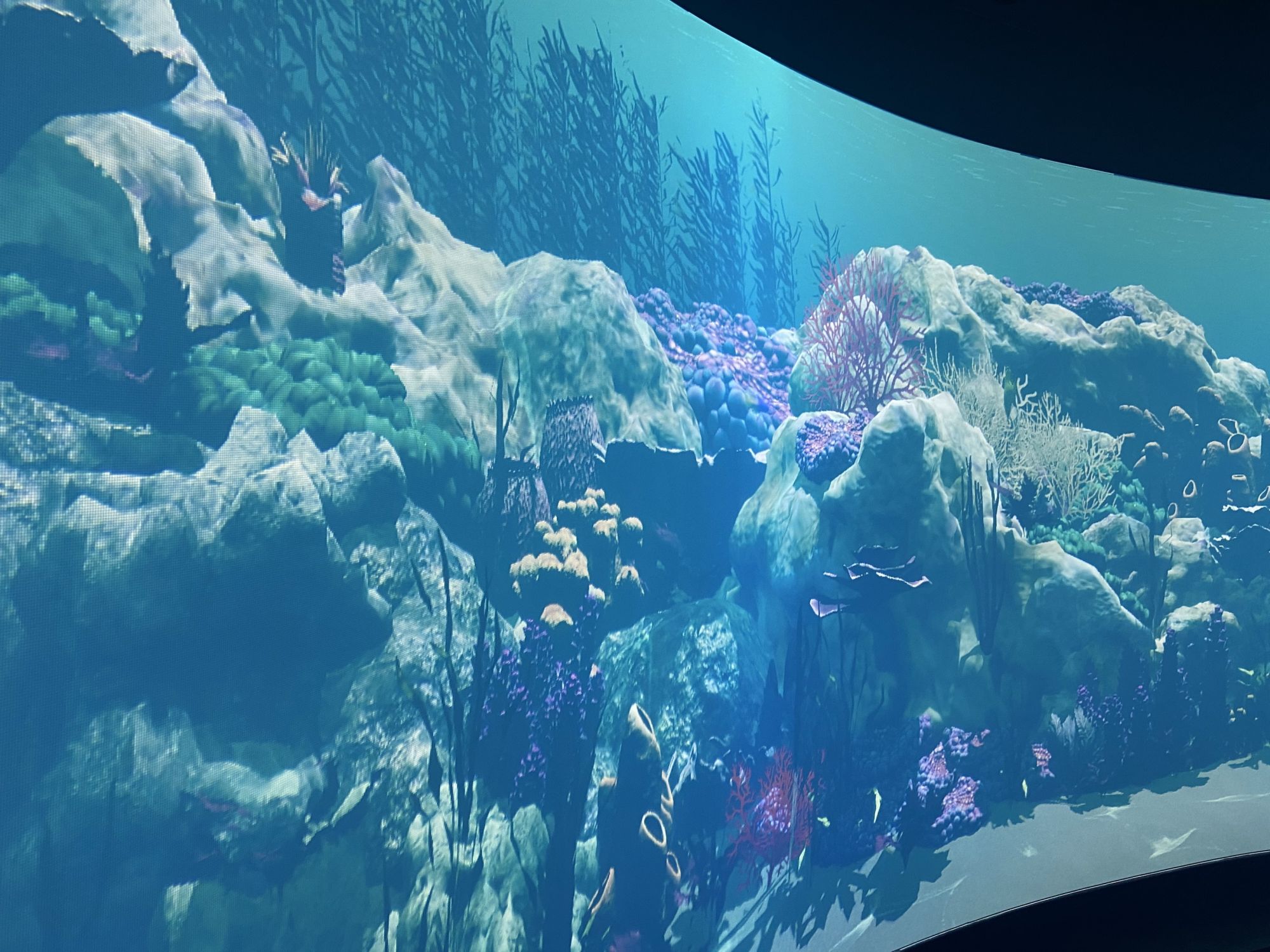 Image showing a virtual aquarium