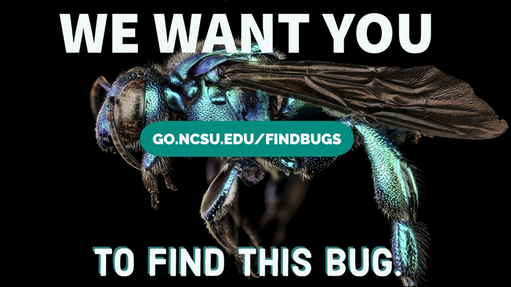 There are bugs everywhere whether you like it or not. Now you can get the official campus bug count at the Wolfpack Citizen Science Challenge wrap-up event.
