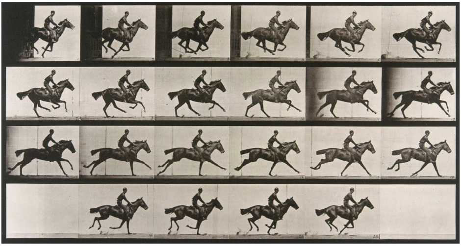 "Phases of the gallop," photograph series by Eadweard Muybridge, featured in The horse, its treatment in health and disease with a complete guide to breeding, training and management, Vol. 1, by J. Wortley Axe (1906)