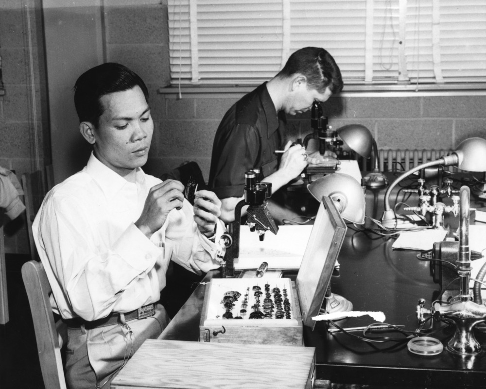 A Filipino student working with insects in an entomology lab, 1954.
