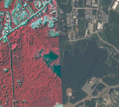 NAIP 2009 imagery showing color-infrared and natural color comparison for Centennial Campus area.