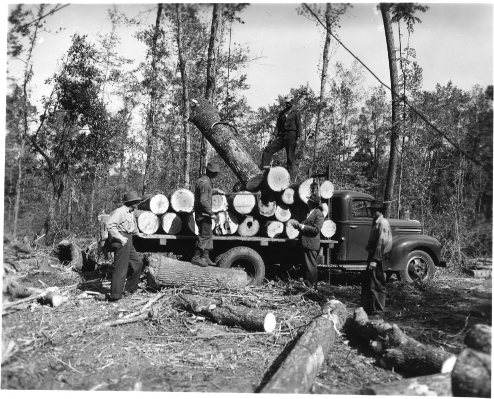 Men in Hofmann Forest loading veneer wood logs onto a truck, April 1945.