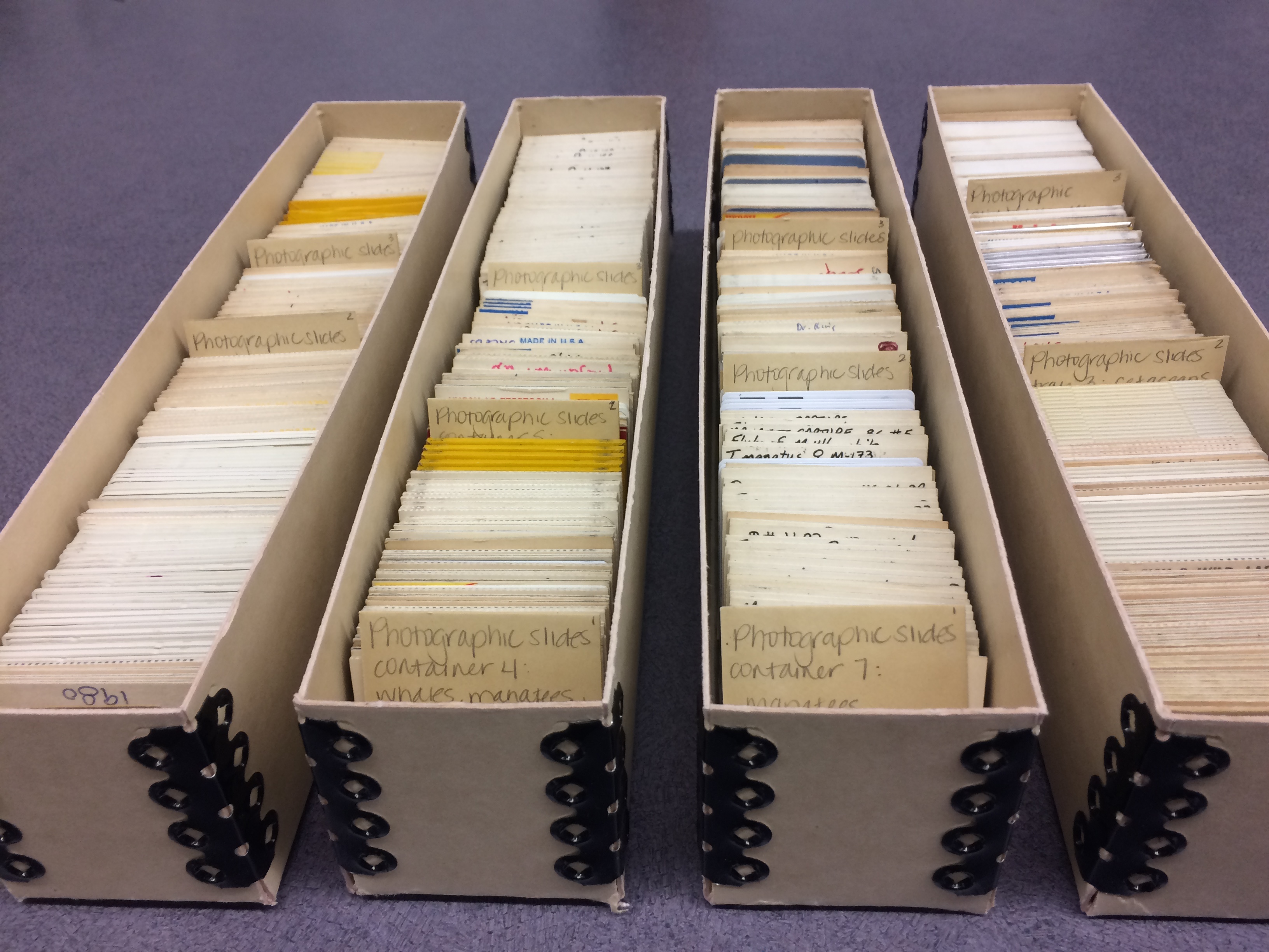 Slide boxes with acid-free dividers