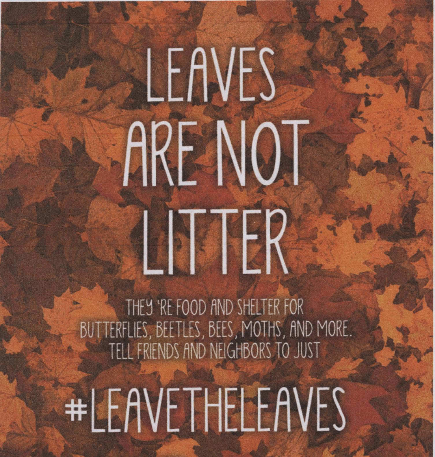 Flyer for "Leaves Are Not Litter" campaign.
