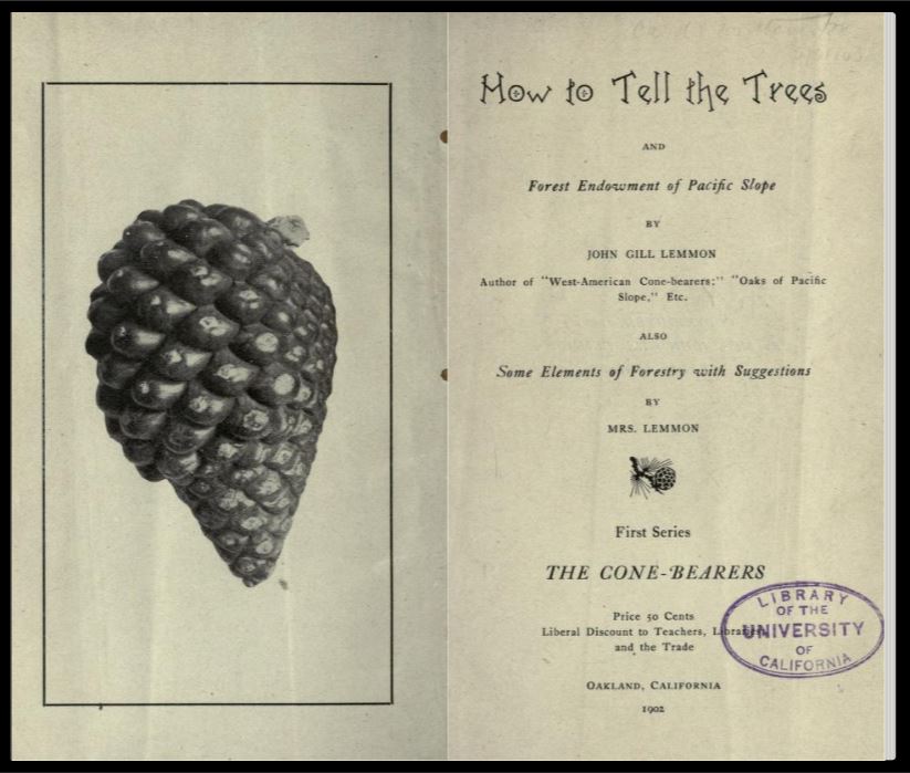 Screenshot of the title page of "How to Tell the Trees and Forest Endowment of Pacific Slope" by John Gill Lemmon and Sara Lemmon as seen on the Internet Archive
