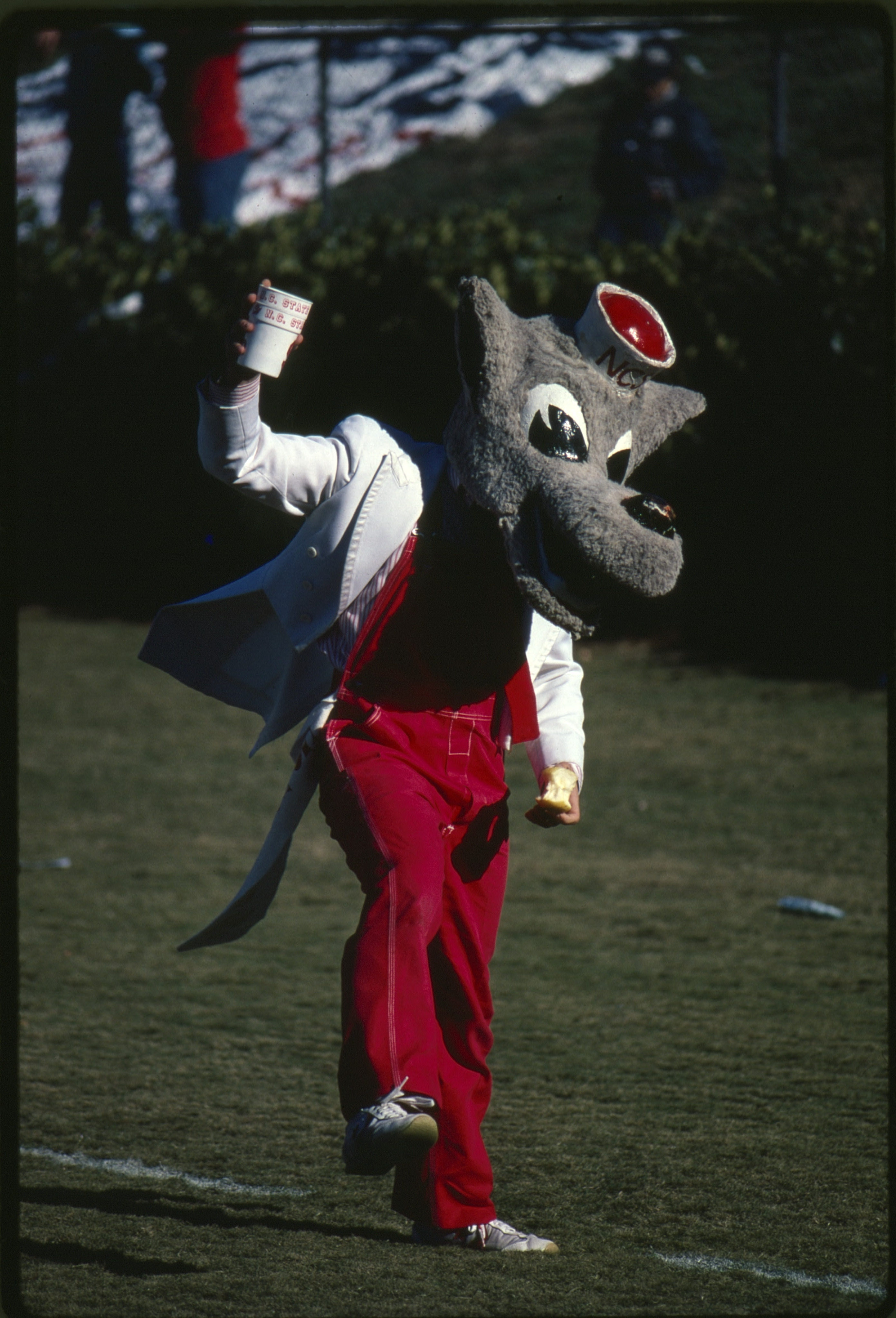 Mr. Wuf mascot, likely after an NC State game (1981)