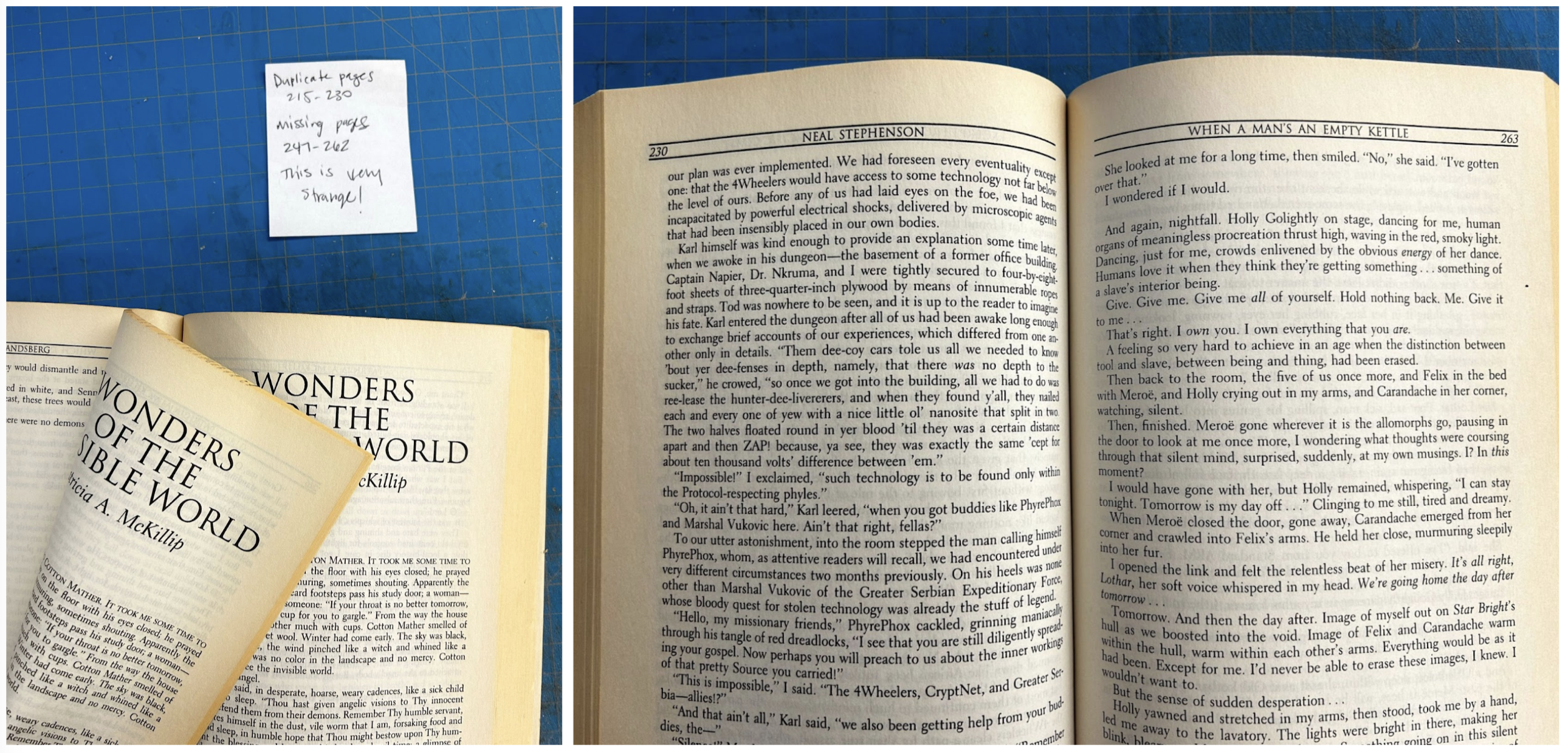 A publisher’s error resulted in this book being bound without pages 247-262.