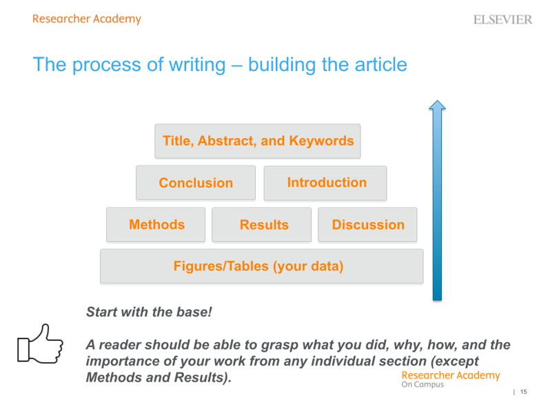 Process of writing an article, credit: Meghan Jendrysik and Adam Frasier