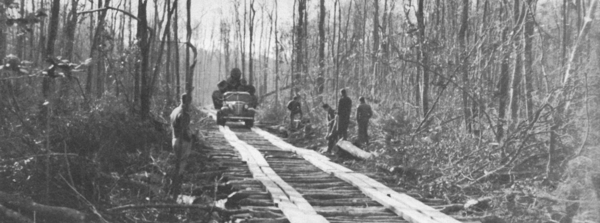 Hofmann Forest Log Road into Cypress Swamp in 1937 (UA 140.045 - Legal box 89)