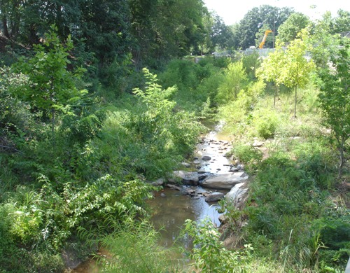 Rocky Branch Creek