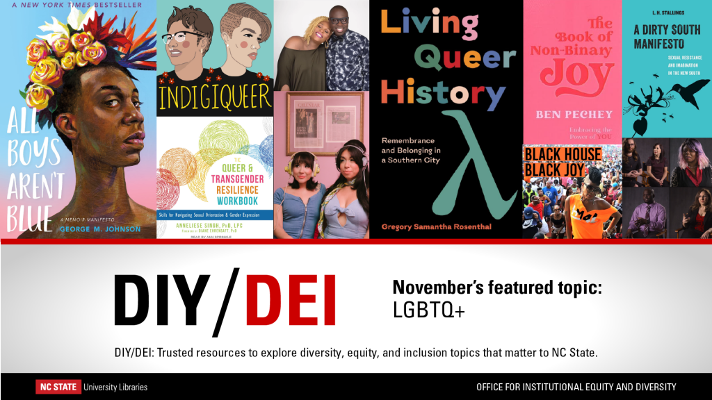 DIY/DEI November: LGBTQ+