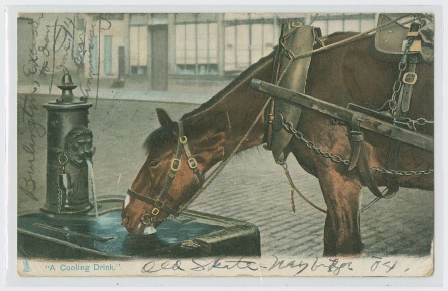 "A Cooling Drink" postcard