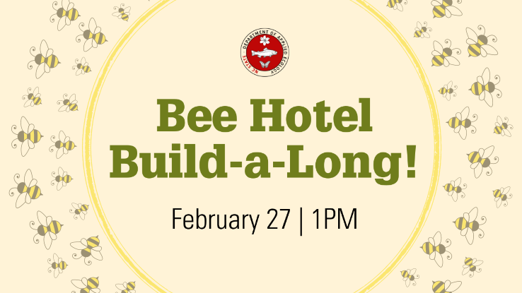 Bee Hotel Build-a-Long! February, 27 at 1 p.m.