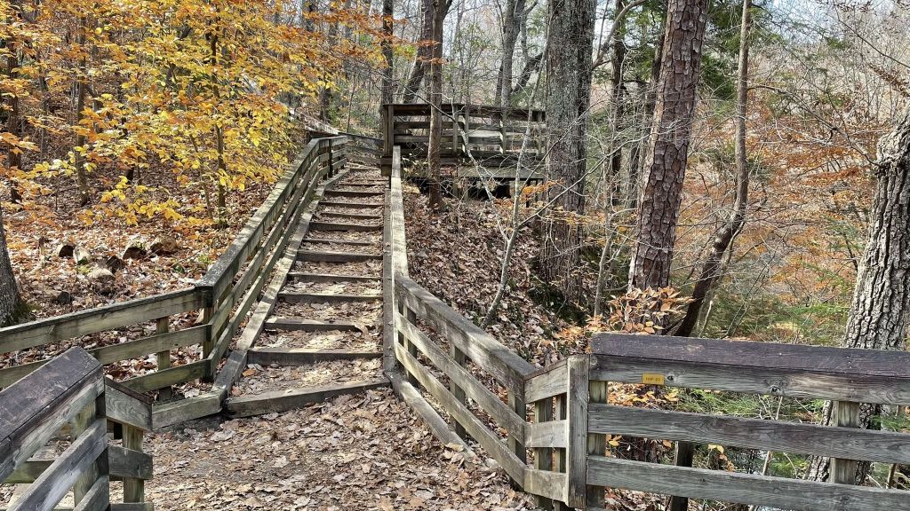 Chestnut Oak and Swift Creek Loop Trail