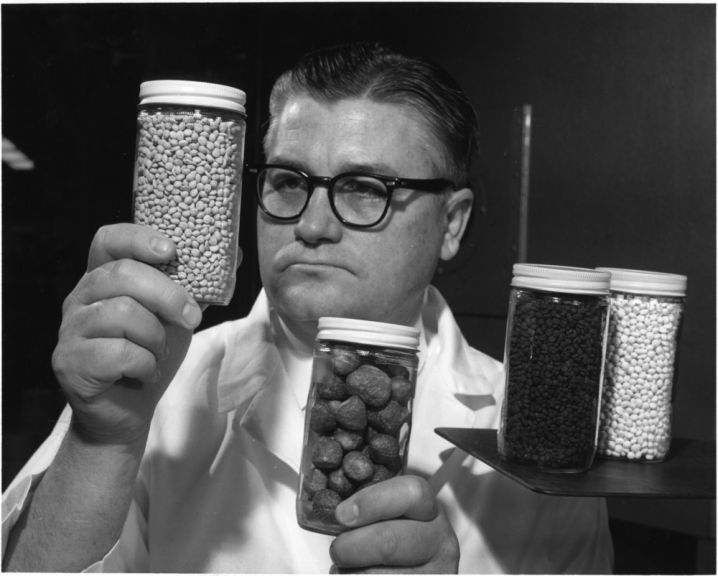 Dr. Maurice W. Hoover with his freeze-dried fruit pellets, 1966.