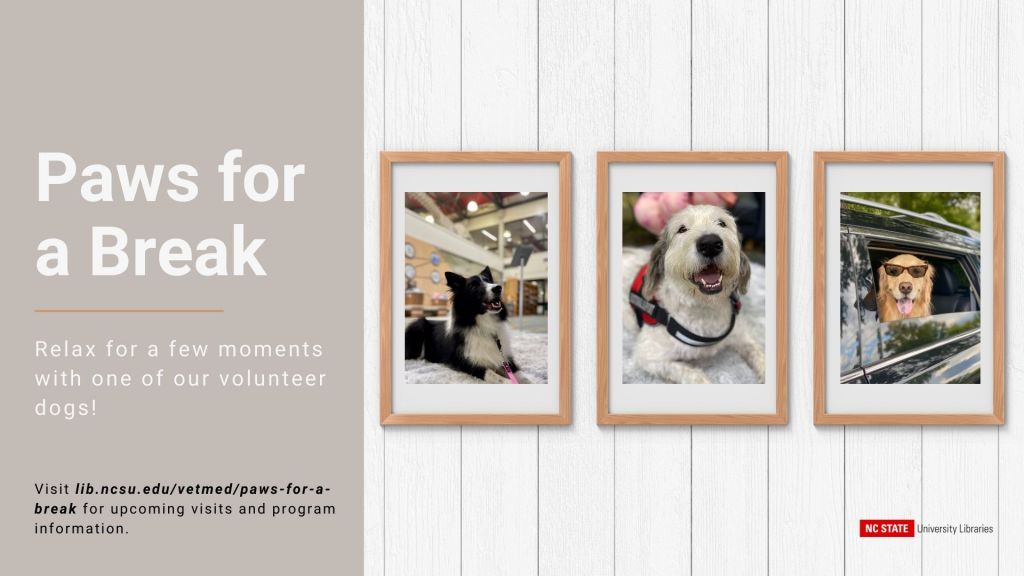 Framed Photos of cute dogs available at the paws for a break event at the Vetmed Library