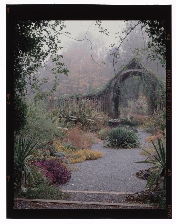 Barn archway surrounded by plants and fog