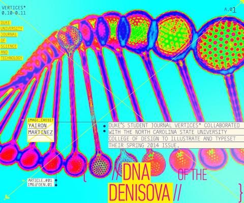 Illustration of DNA from student journal Vertices