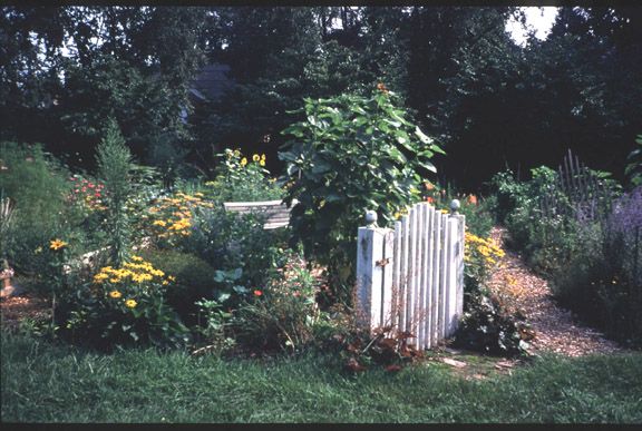 Community Garden at Edgerton Park, New Haven, Connecticut, 2000.
