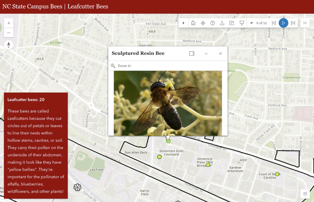 An online map shows NC State's campus, with data points shown as green dots. One is selected, showing a photograph of a bee on a flower.
