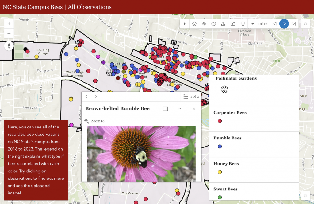 An online map shows NC State's campus, with many data points shown as different-colored dots. One is selected, showing a photograph of a bumblebee on a pink coneflower.