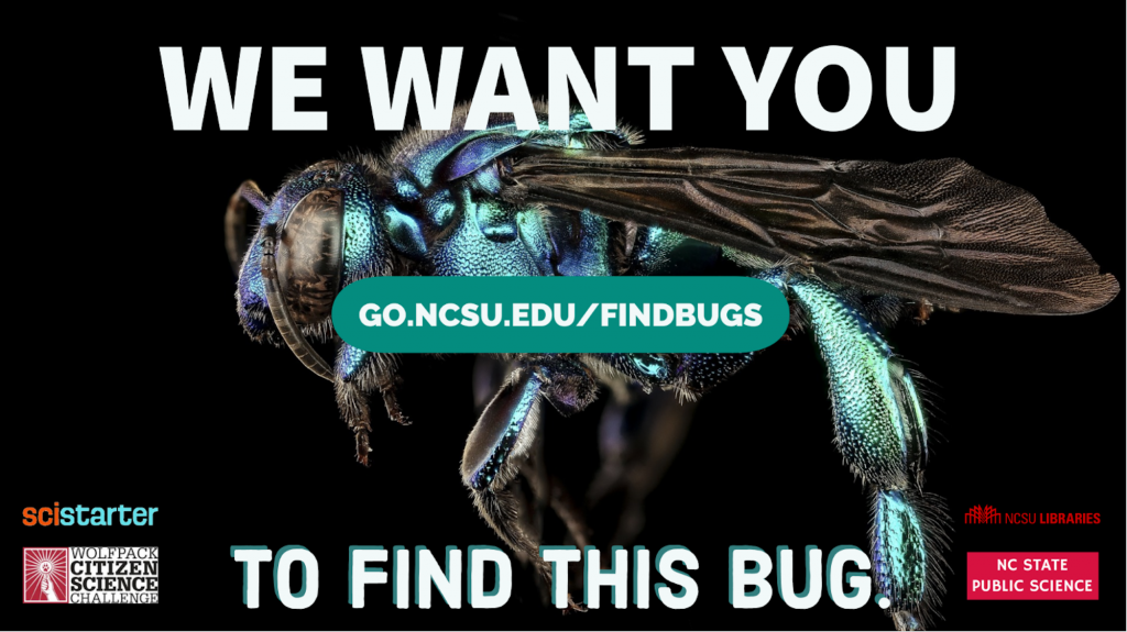 WE WANT YOU to find this bug