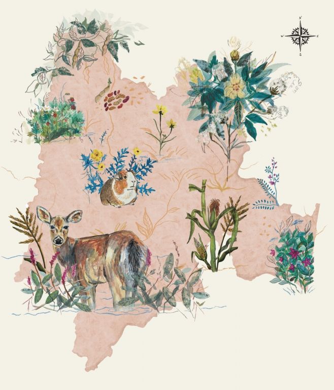 Illustrated map covered with plants and animals, including a guinea pig and deer.
