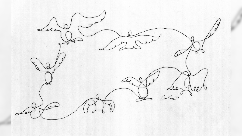 line drawing of birds