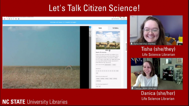 A view of a citizen science project identifying animals in images, currently showing a gazelle. To the right o the image are two people smiling and laughing in conversation.