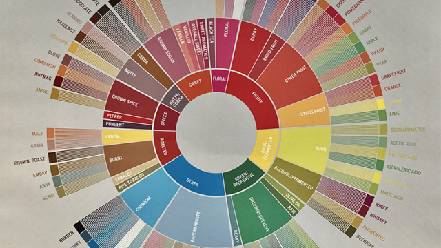 Image of "Coffee Tester's Flavor Wheel".
