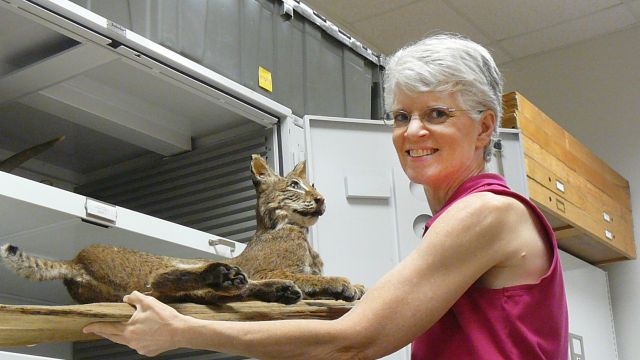 Debbie and a cat friend at the Museum of Natural Sciences