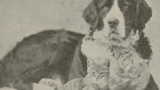 Dog and cat from "A Letter to Children." From John Ptak Collection of Animal Rights and Animal Welfare Printed Education Materials.