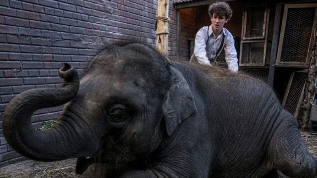 View the Irish film “Zoo” online now