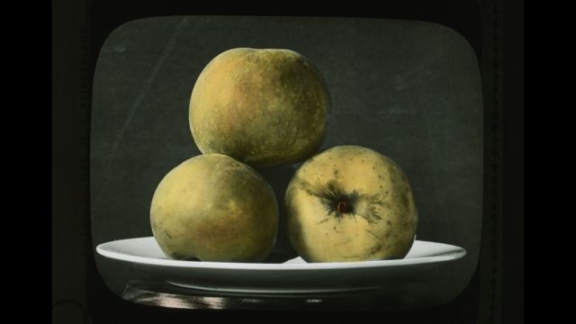 Apples, hand-painted glass slide, circa 1910