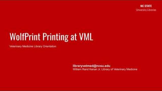 WolfPrint Printing at VML
