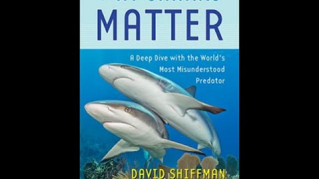 Why Sharks Matter: Book Talk