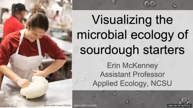 Coffee & Viz: Visualizing the Microbial Ecology of Sourdough Starters
