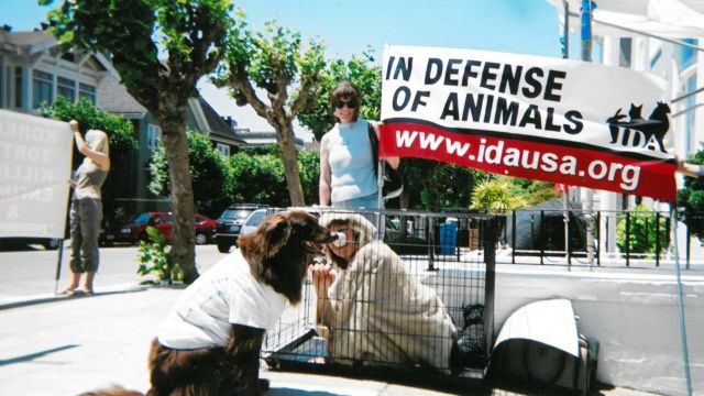 In Defense of Animals protest with woman in a cage